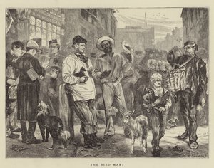 Le Marché aux Oiseaux - Edwin Buckman